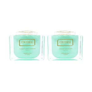 Cryogenic Crème Lumière Jour & Nuit Duo